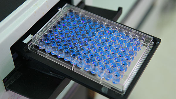 parco-macchine-laboratorio